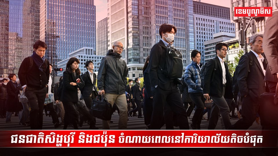 វិស័យការងារ