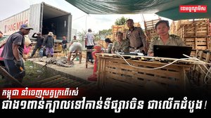 សត្វក្រពើ