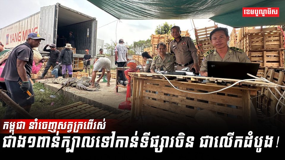 សត្វក្រពើ