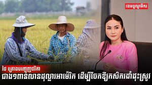 វិស័យកសិកម្ម