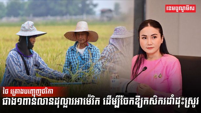 វិស័យកសិកម្ម