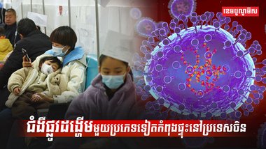 ជំងឺផ្លូវដង្ហើម