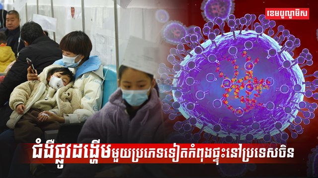 ជំងឺផ្លូវដង្ហើម