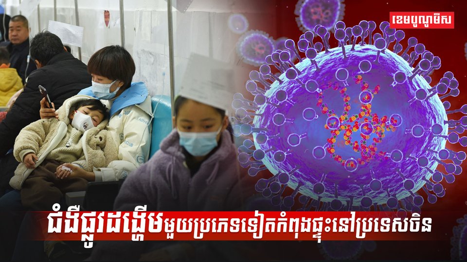ជំងឺផ្លូវដង្ហើម