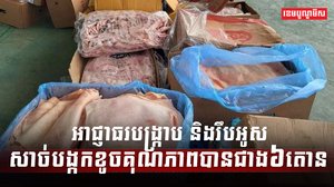 សាច់បង្កក