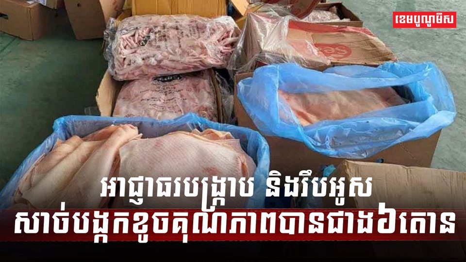 សាច់បង្កក
