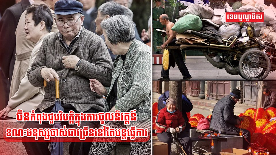 វិស័យការងារ