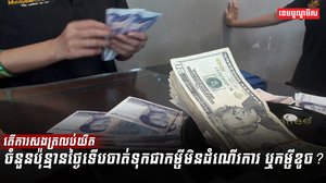 វិស័យមីក្រូហិរញ្ញវត្ថុ