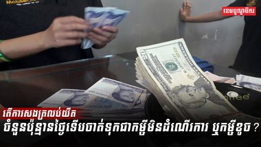 វិស័យមីក្រូហិរញ្ញវត្ថុ