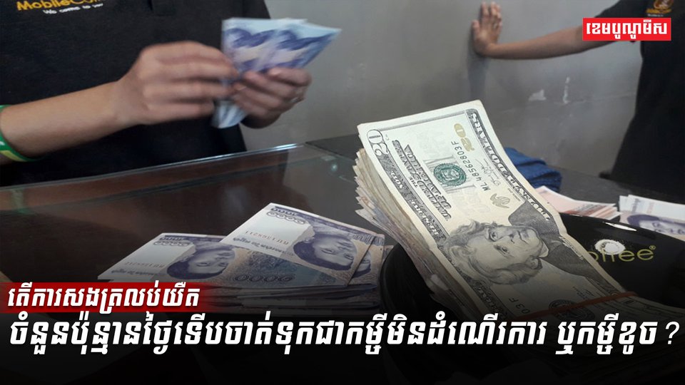 វិស័យមីក្រូហិរញ្ញវត្ថុ