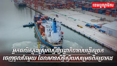 វិស័យ SME