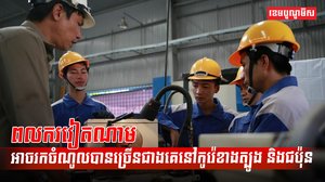 វិស័យ ការងារ