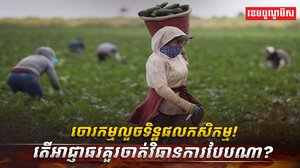 វិស័យ​កសិកម្ម