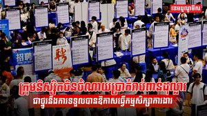 វិស័យការងារ