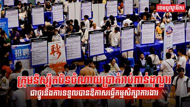 វិស័យការងារ
