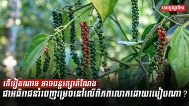 ដំណាំម្រេច