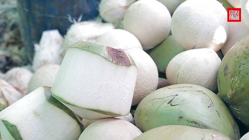អ្នក​លក់​ដូង​នៅ​រាជ​ធានី​ភ្នំពេញ ច្រើន​ជ្រលក់​ដូង​នៅ​ក្នុង​ទឹក​លាយ​ជាមួយ​ជាតិ​គីមី​ម្យ៉ាង​ដើម្បី​ធ្វើ​ឲ្យ​សម្បក​ដូង​ពណ៌​ស តែ​អ្នក​ជំនាញ​ថា សារធាតុ​នោះ​មិន​ជ្រាប​ចូល​ក្នុង​ទឹកដូងក្នុង​សម្បក​ទេ។