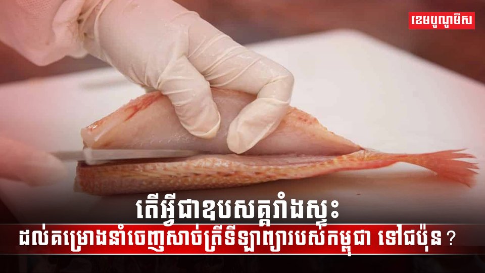 វិស័យកសិកម្ម