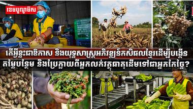 វិស័យកសិកម្ម