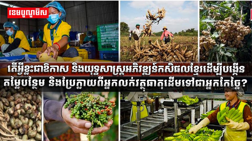 វិស័យកសិកម្ម