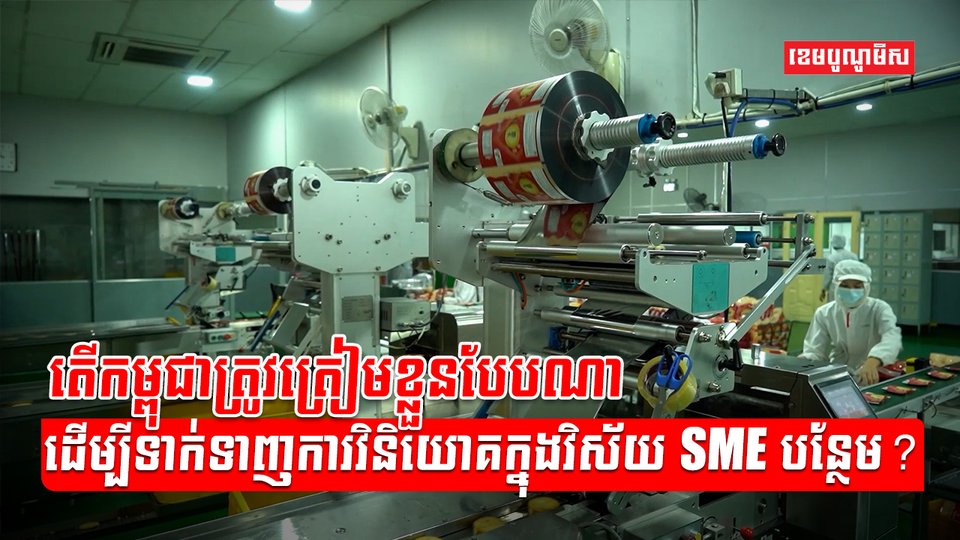 វិស័យ SME