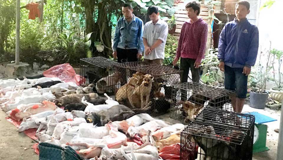 តុលាការខេត្ត​តៃនិញ វៀតណាម កាត់ទោស​អ្នក​លួច​ឆ្កែ​ ៦នាក់​ ដាក់​ពន្ធនាគារ​ពី ៣ ទៅ ៧ឆ្នាំ។ រូបថត៖ VN Express