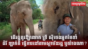 វិស័យការងារ