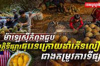 ទីផ្សារទុរេន
