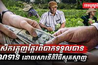 វិស័យកសិកម្ម
