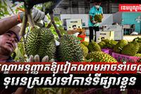 ទីផ្សារ​ទុរេន​