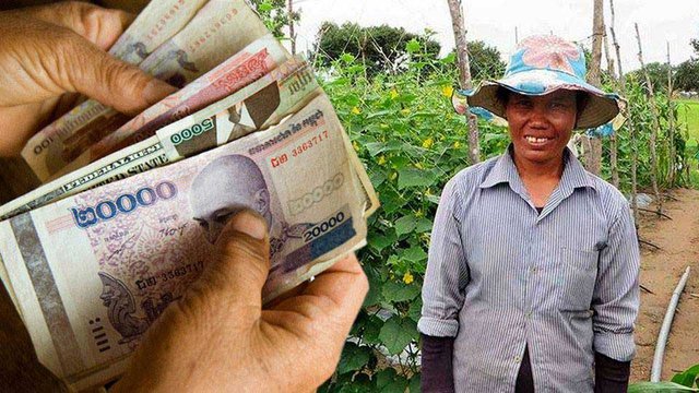 របាយការណ៍​បង្ហាញថា កសិករ​ជាច្រើន​ខ្ចី​បុល​ពី​គ្រឹះស្ថាន​មីក្រូ​ហិរញ្ញ​វត្ថុ​ ខណៈ​ដែល​បញ្ហា​កសិផល​មិន​បាន​ថ្លៃ​ខ្ពស់​ធ្វើ​ឲ្យ​ពួកគេ​ជួប​ការលំបាក​ជីវភាព។