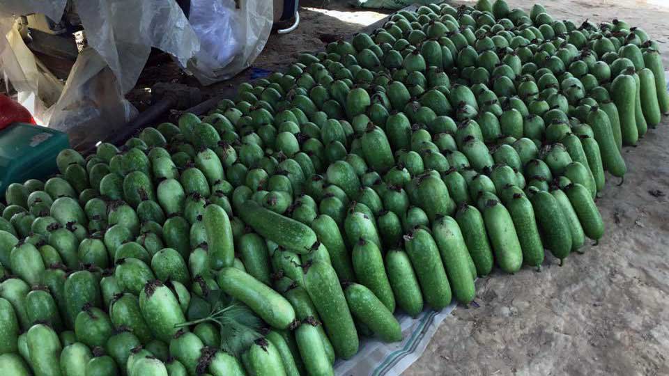 កសិករខ្មែរ