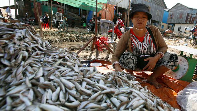 កម្ពុជា​ជា​ប្រទេស​ធ្លាប់ជា​ប្រទេស​សម្បូរ​ត្រី តែ​បច្ចុប្បន្ន មាន​ការ​ខ្វល់​ខ្វាយ​រឿង​ខ្សត់​ត្រី។