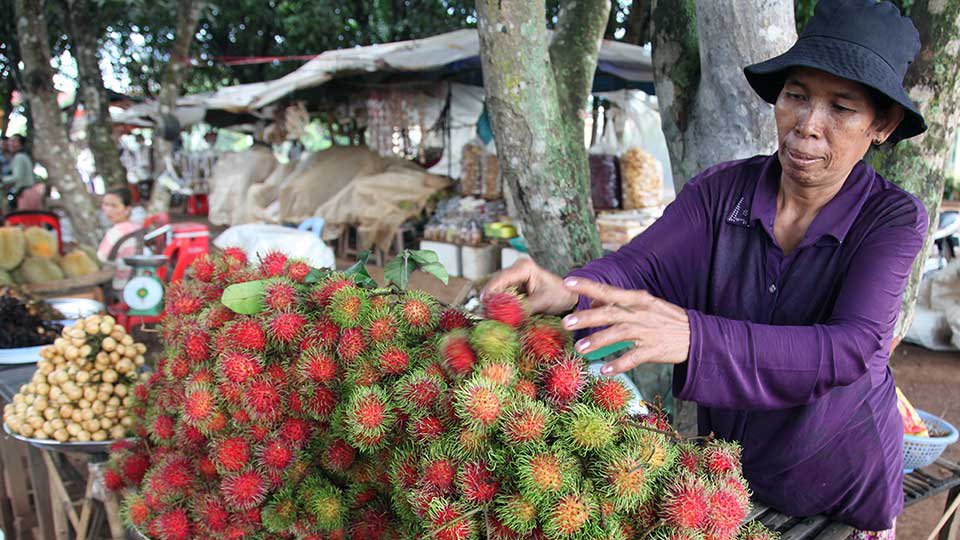 ២០ឆ្នាំ​ចុង​ក្រោយ​នេះ កម្ពុជា​កាត់​បន្ថយ​អត្រា​ភាពក្រីក្រ​ពី ៥០% មក​នៅ​ត្រឹម ១៤%។ រូបភាព៖ ហេង ភារម្យ