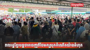វិស័យការងារ