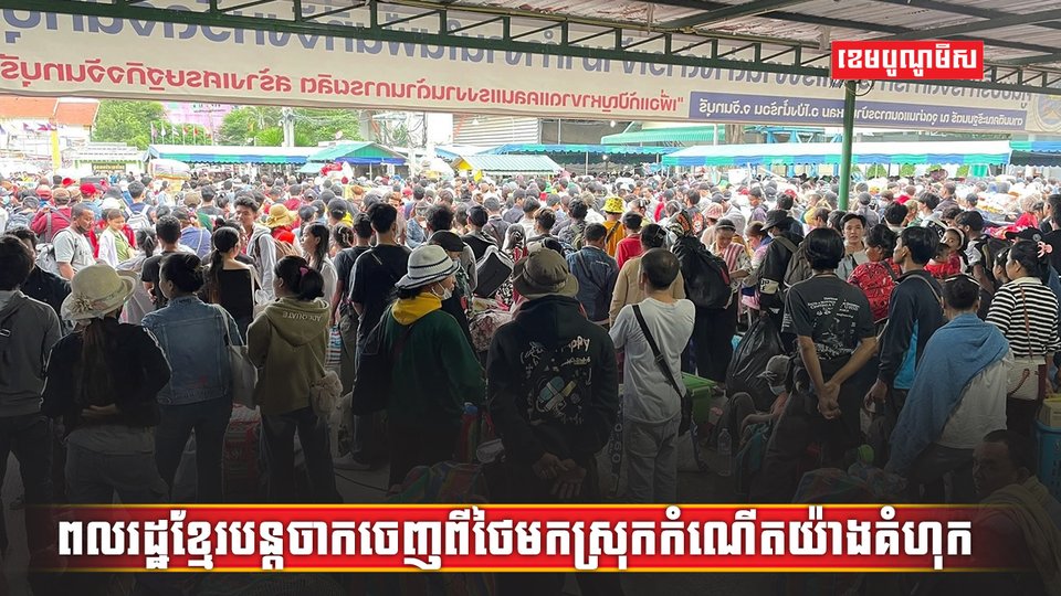 វិស័យការងារ