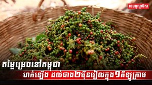 ទីផ្សារម្រេច