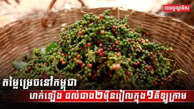 ទីផ្សារម្រេច