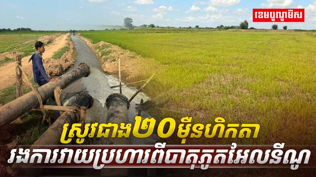 វិស័យកសិកម្ម