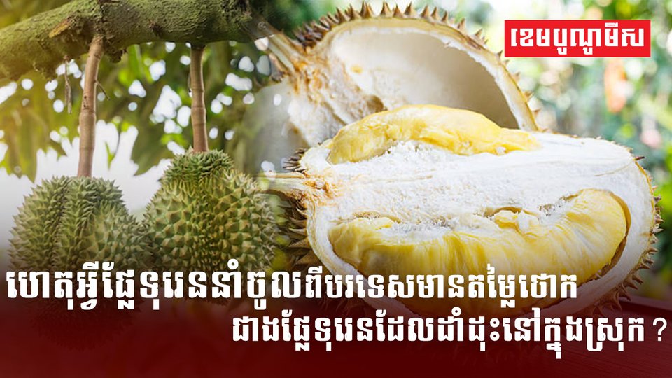 វិស័យកសិកម្ម