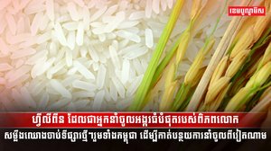 ការនាំចូលអង្ករ