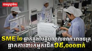វិស័យ​​ SME