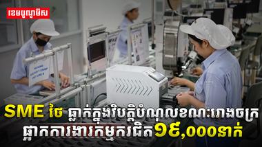 វិស័យ​​ SME