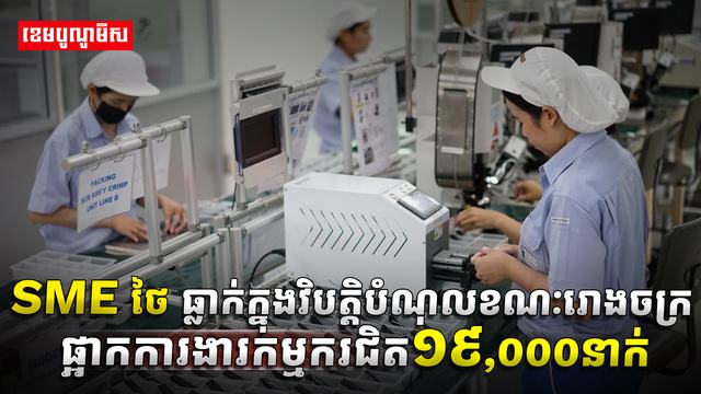 វិស័យ​​ SME