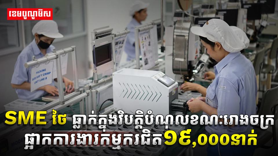 វិស័យ​​ SME
