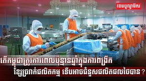 វិស័យ SME