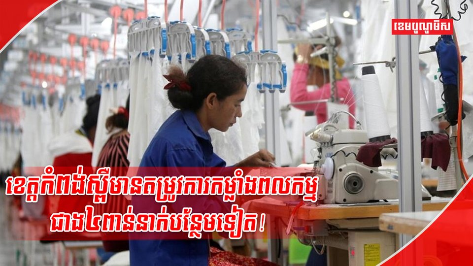 វិស័យការងារ