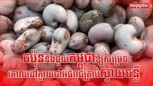 វិស័យកសិកម្ម