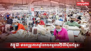 វិស័យការងារ