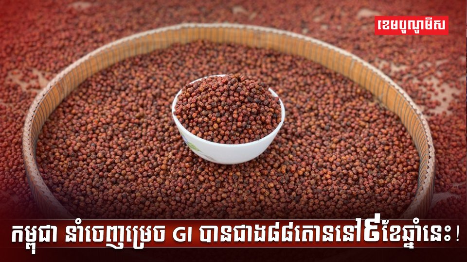 ម្រេចកំពត